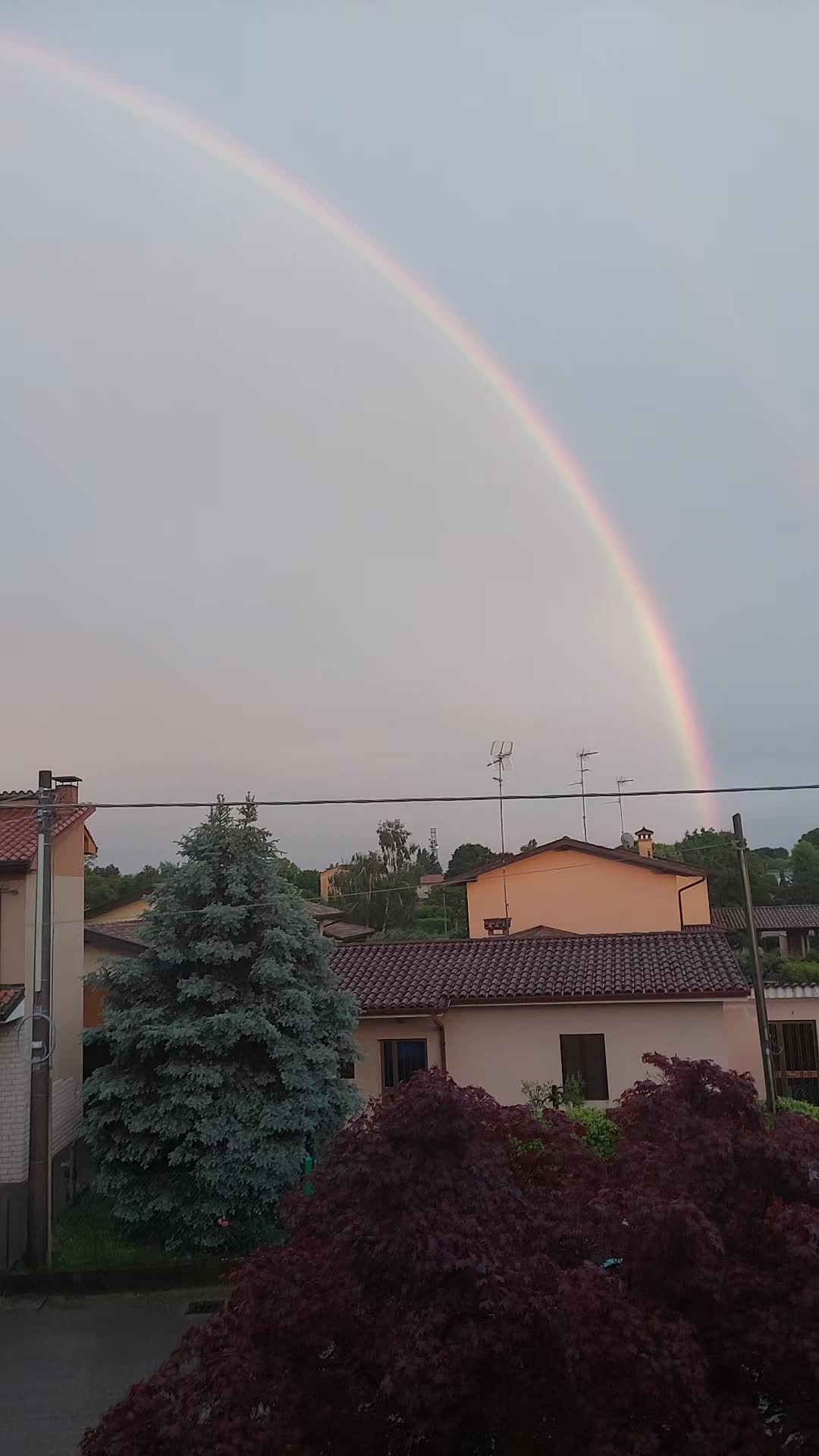 @ZiaNat69