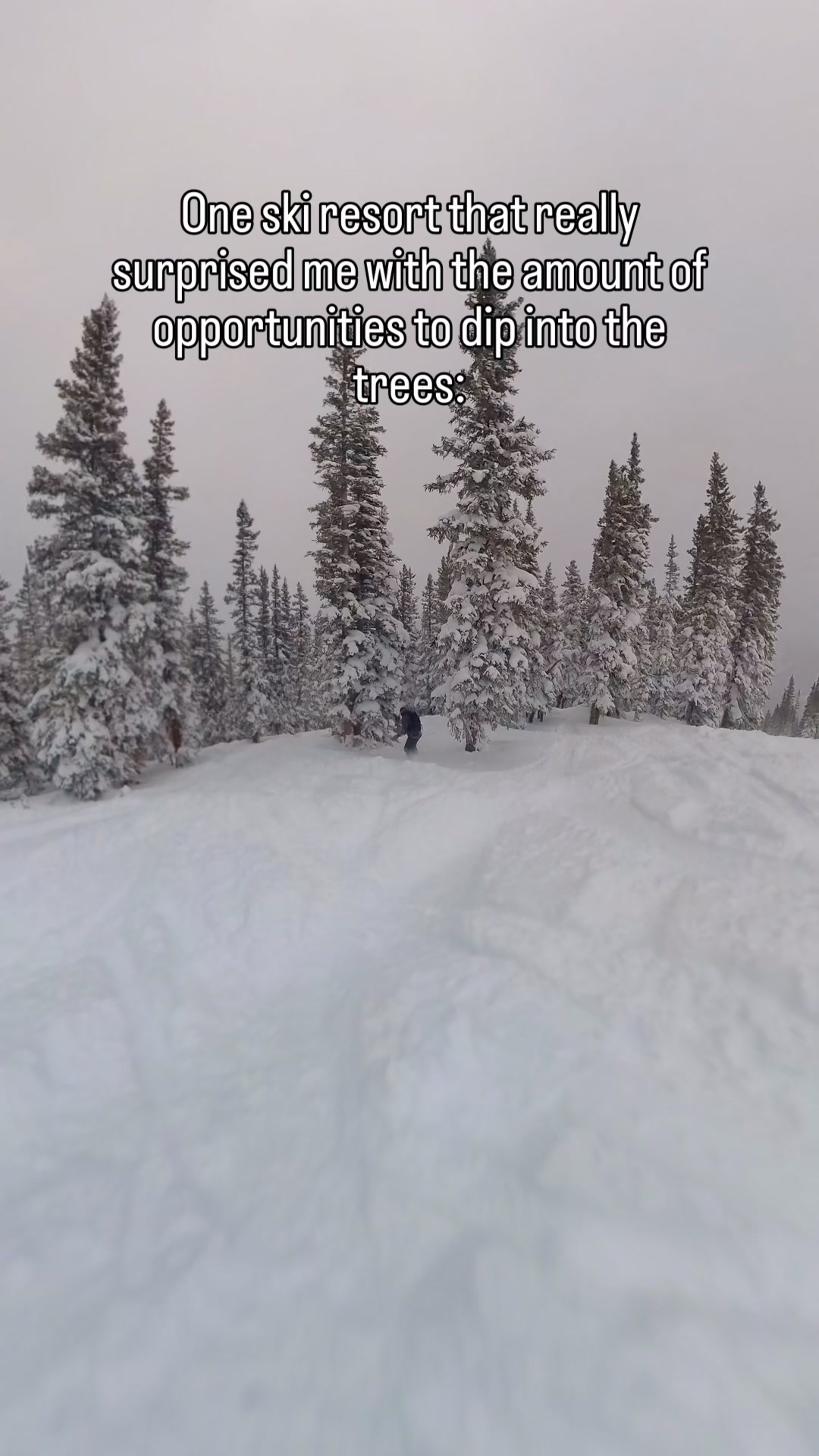 @Boards Bikes and Hikes