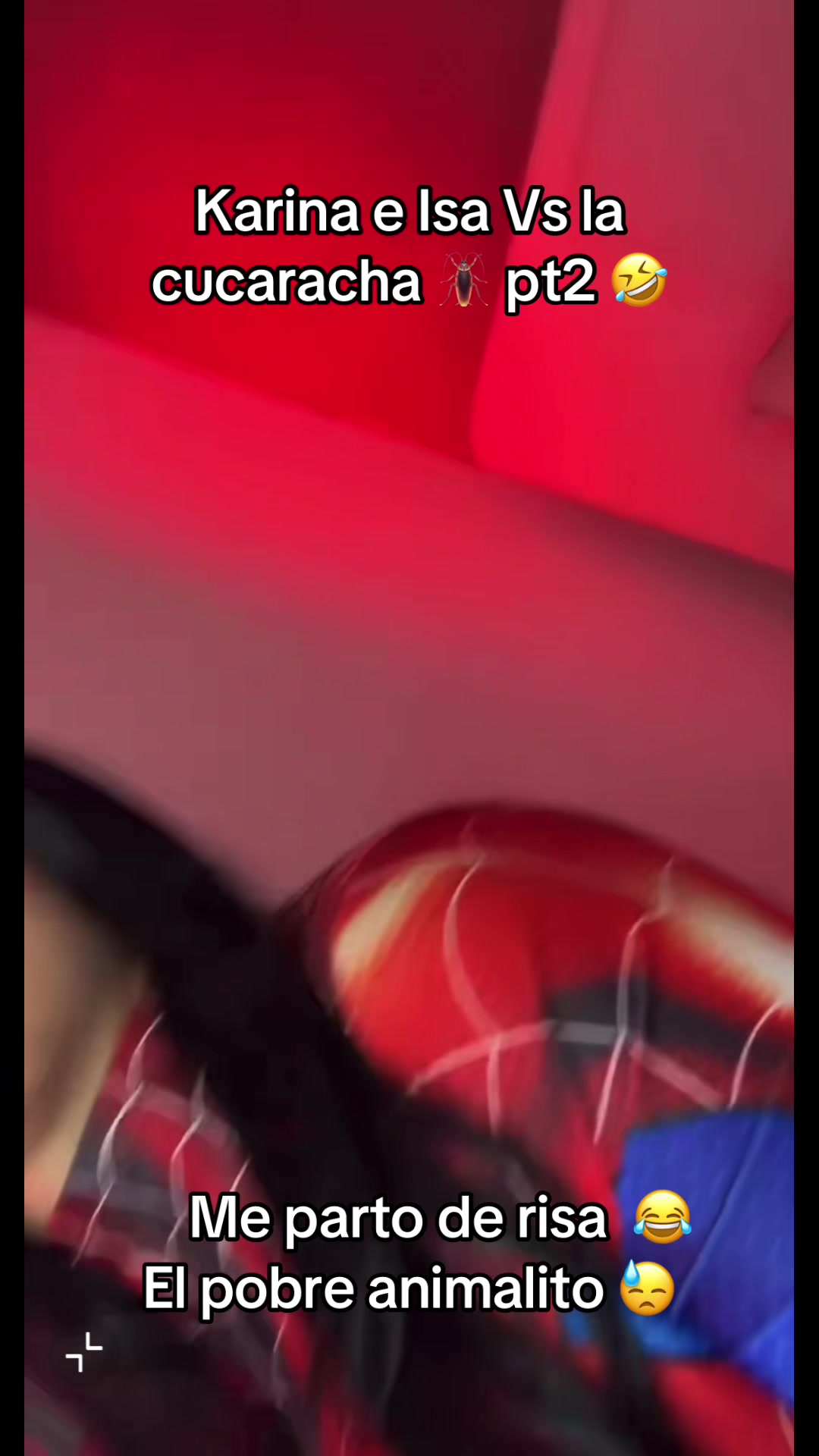 @✨🧸