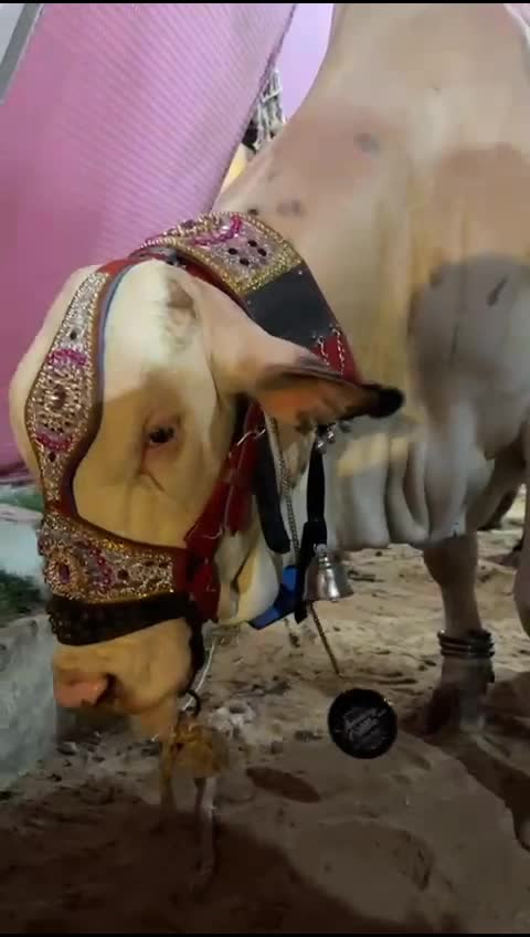 @Syed Yasir Ahmed