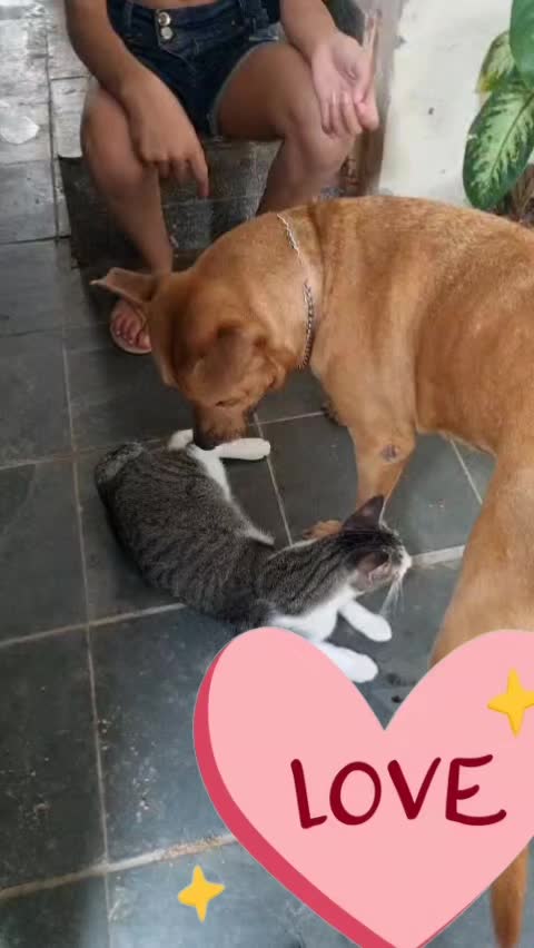 @Cris Costa5707