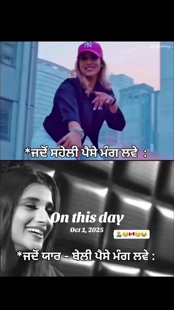 @vehlijanta761