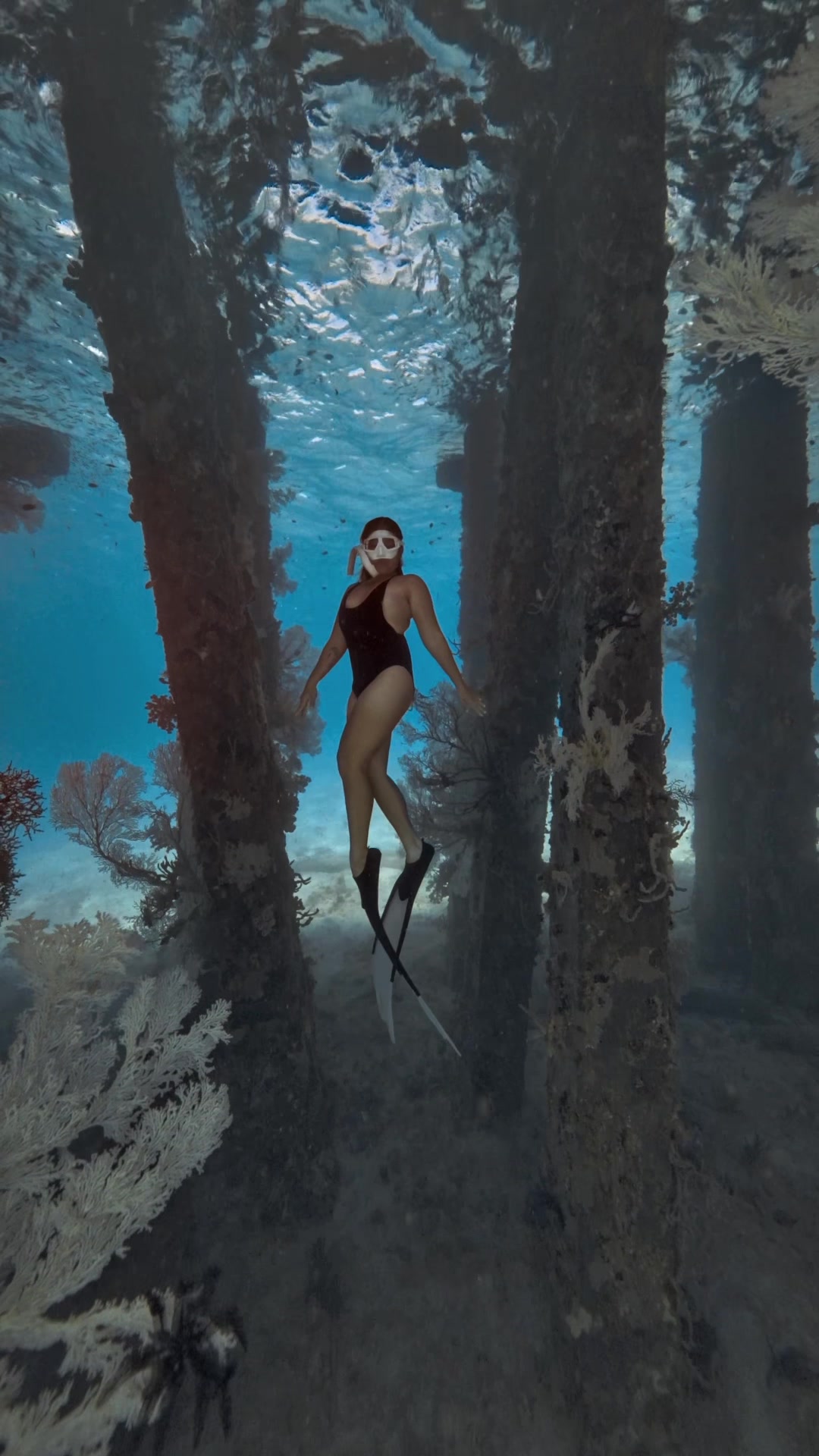 @@voltamazingfreediver