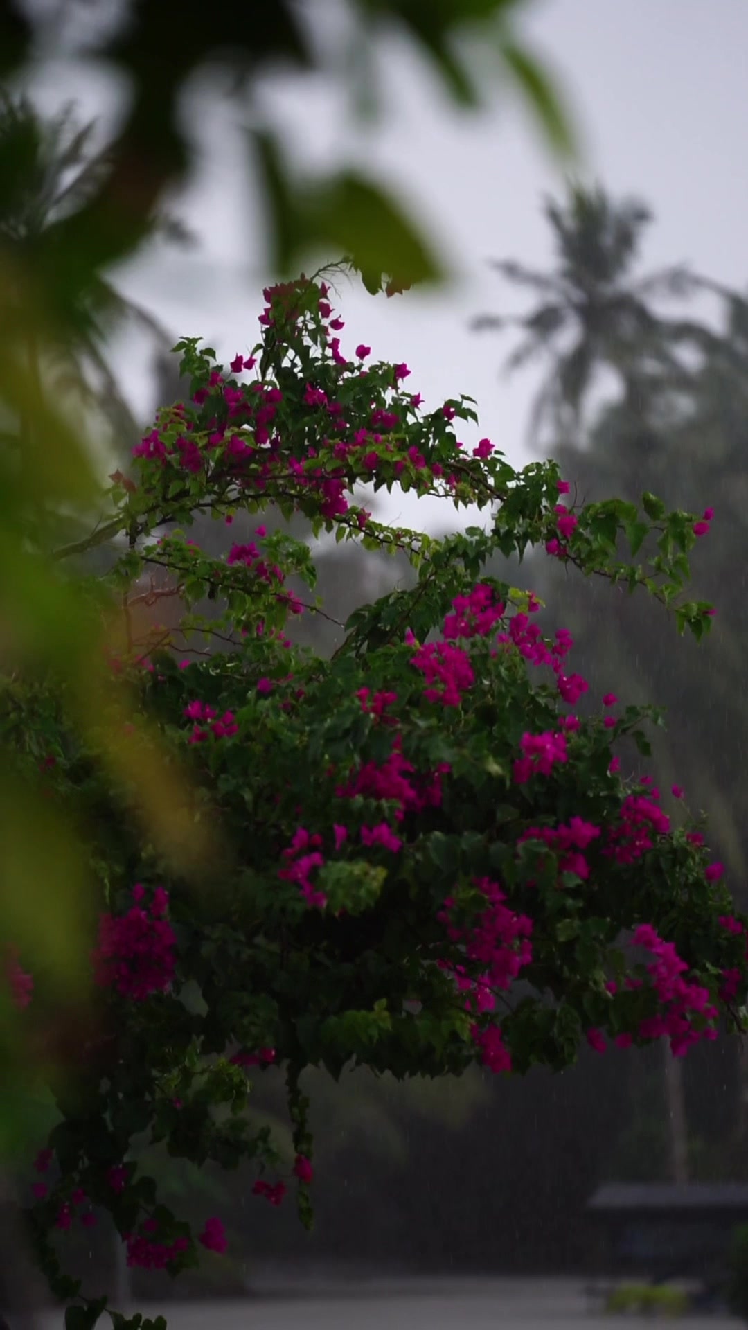 @Aishath Sana