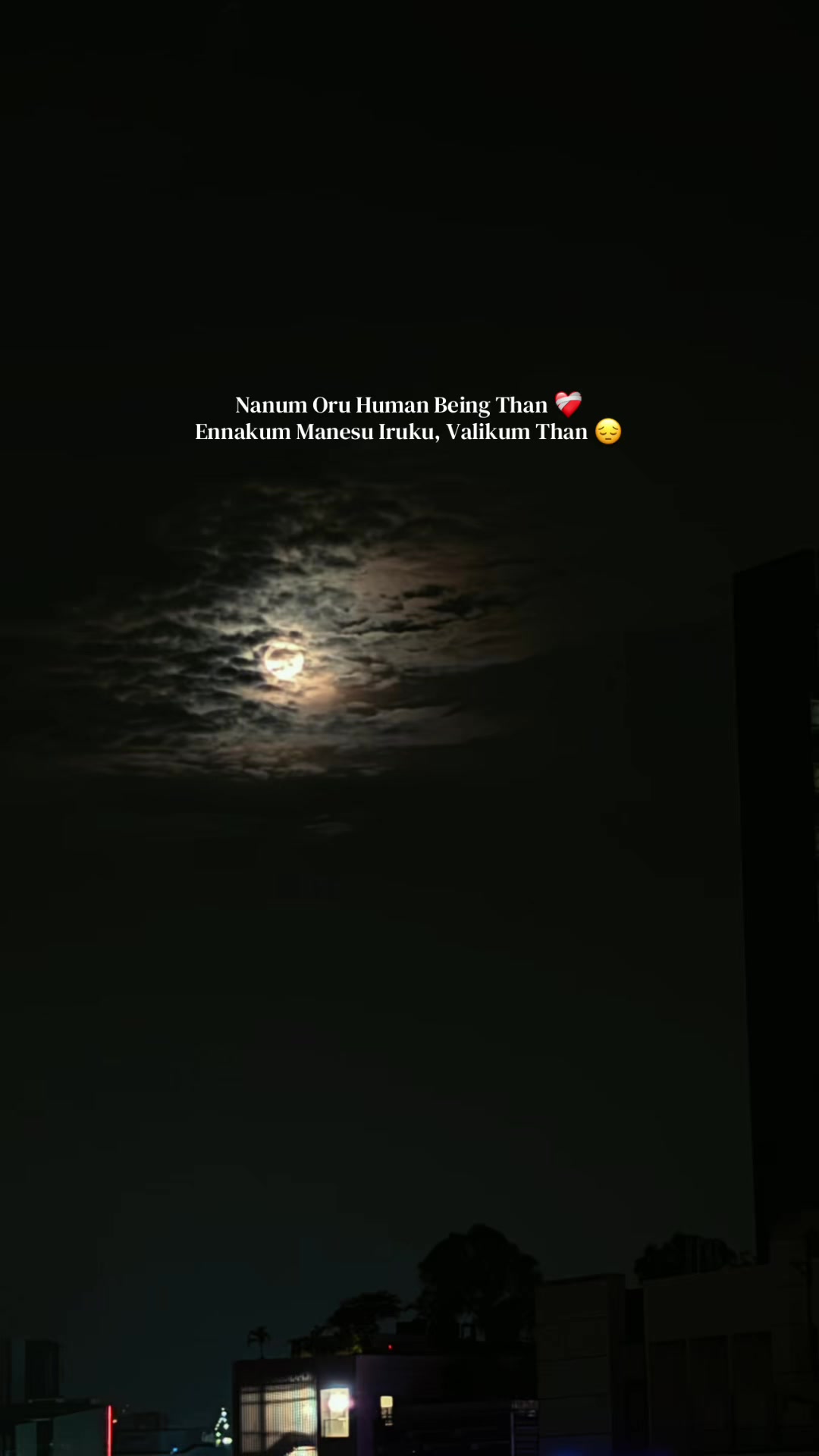 @ѕυηѕнιηє✨