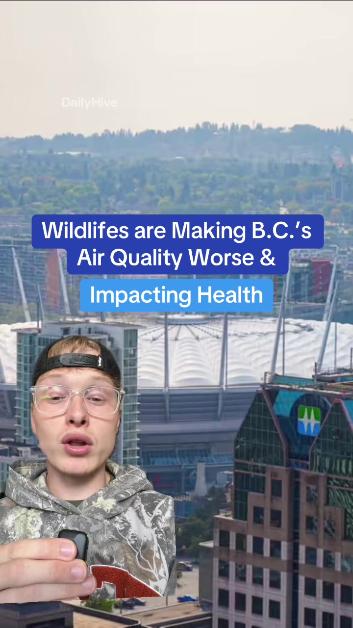@dailyhivevancouver