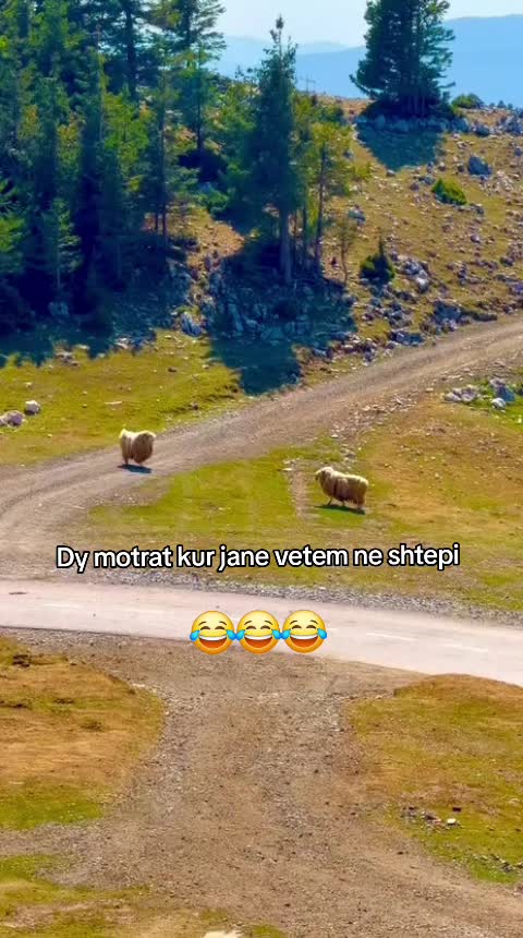 @uraa✅️
