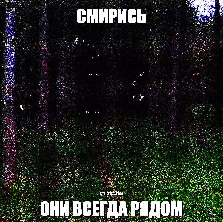 @𝘁𝗵𝗲 𝗿𝗼𝘁𝘁𝗶𝗻𝗴 𝗯𝗼𝗱𝘆