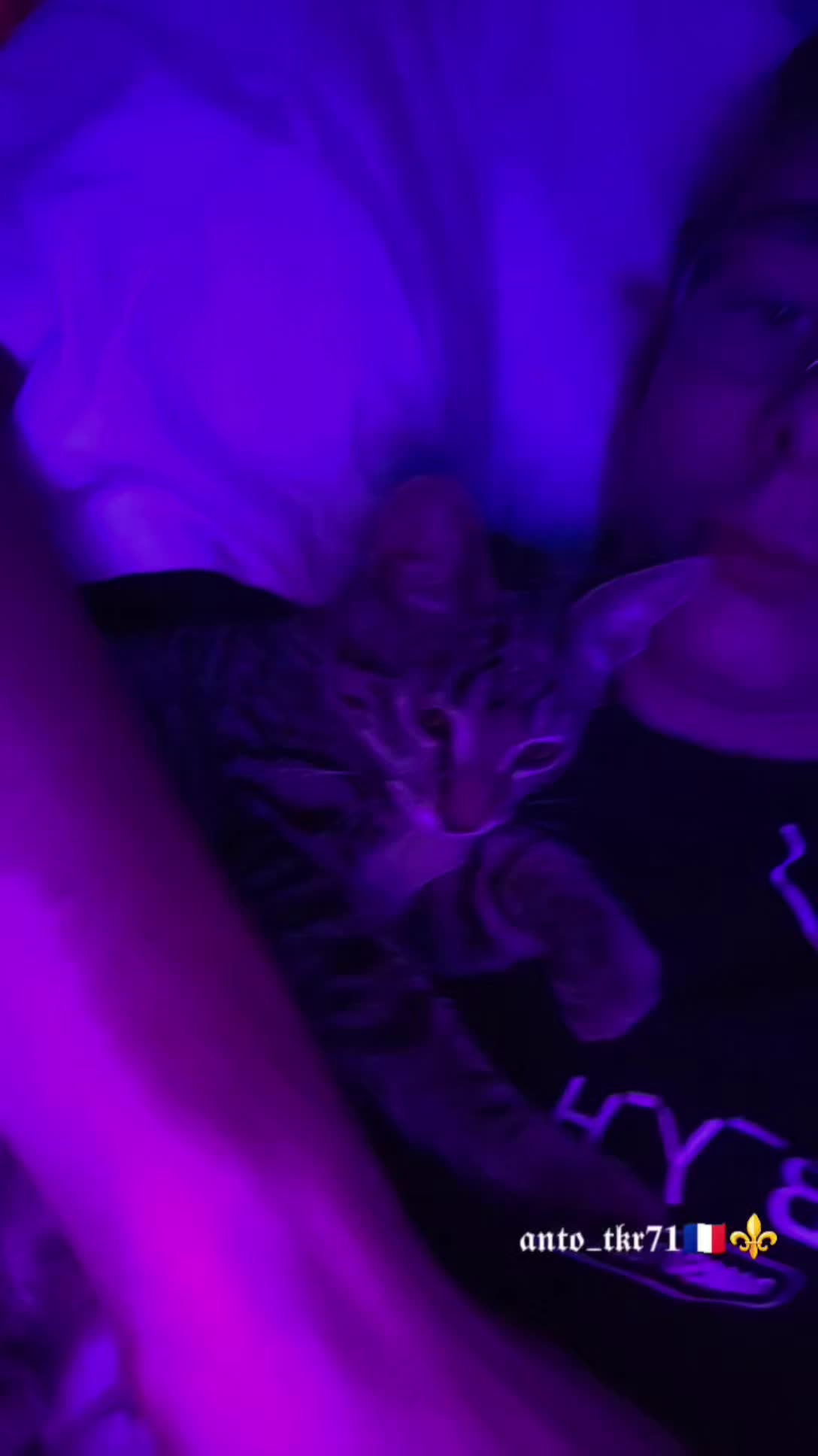 @๐๐๐๐_๐๐๐๐ซ๐ทโ๏ธ