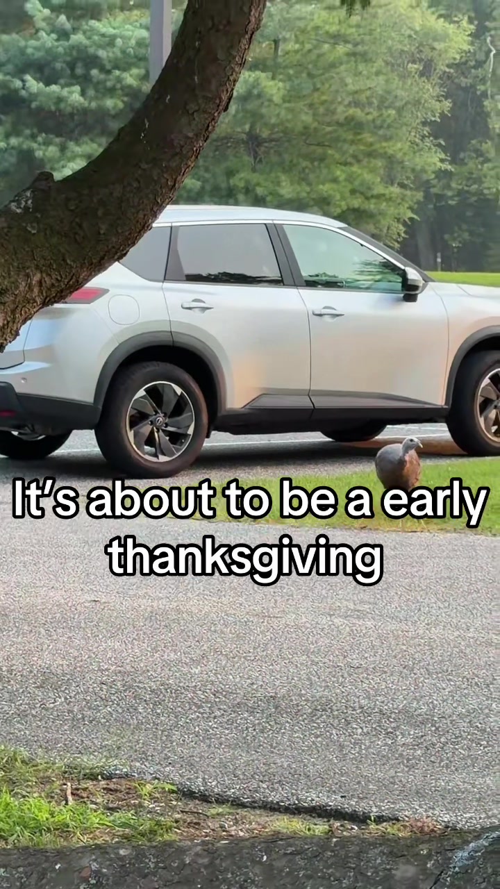 @Reese bell