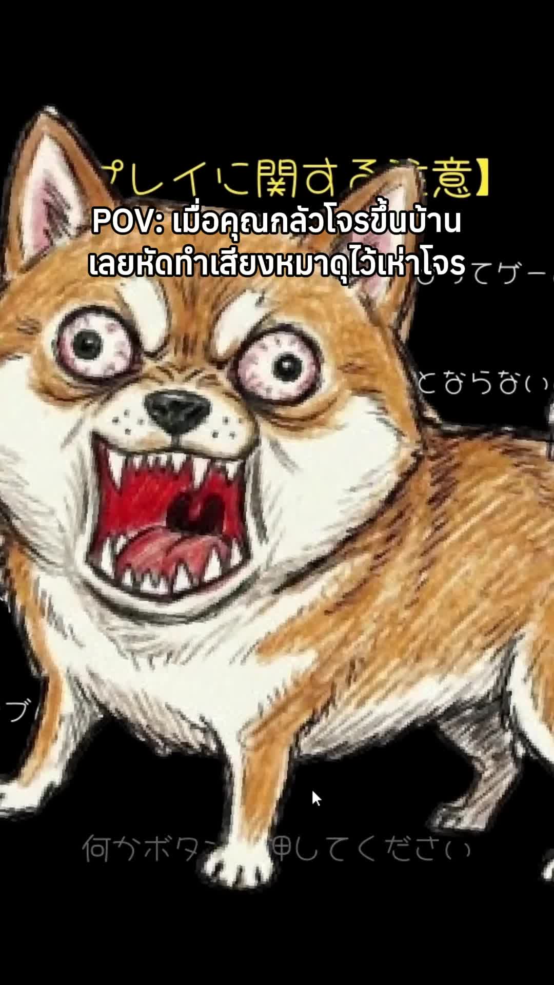 @sonjokey