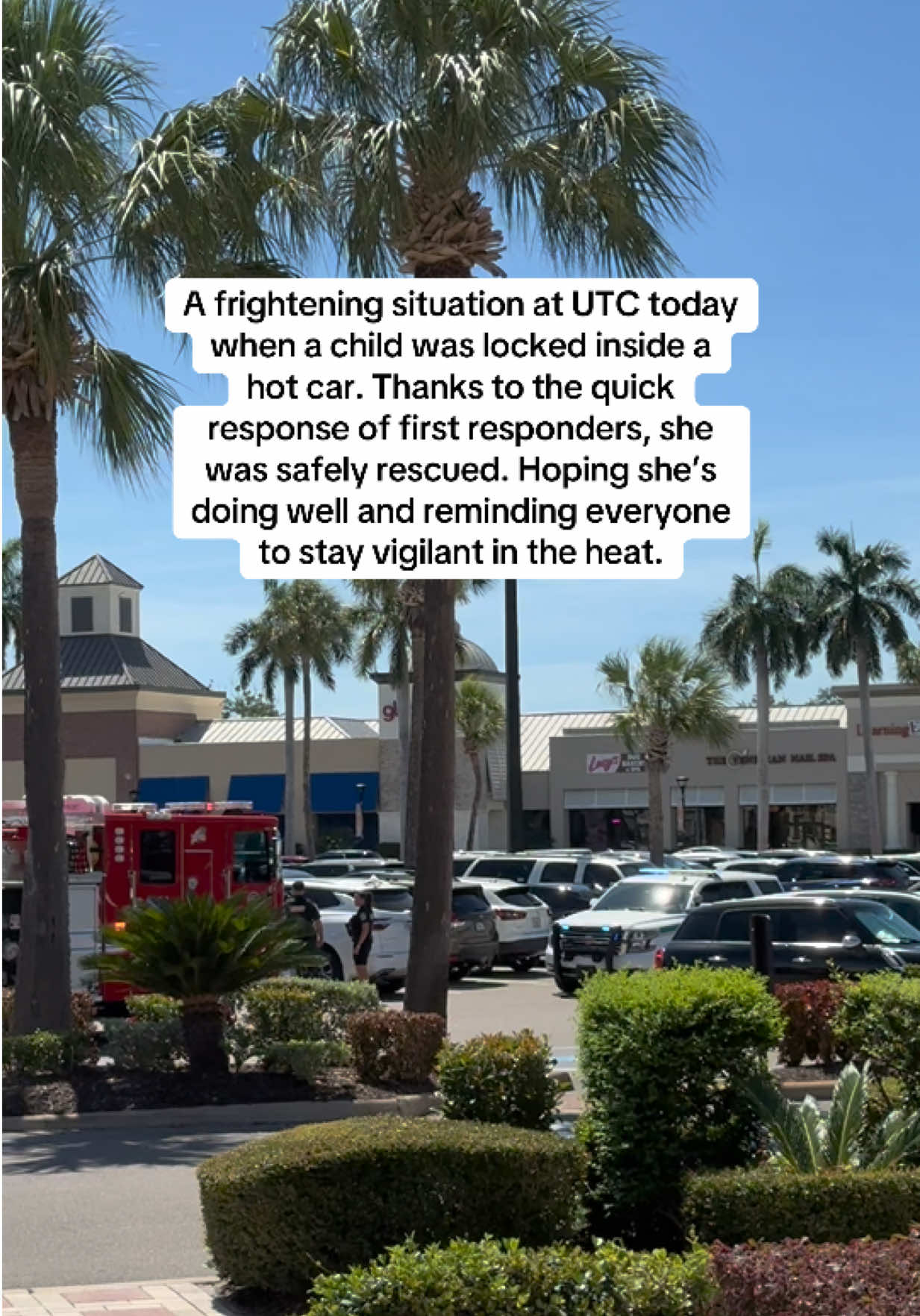 @lily || fl lifestyle & travel