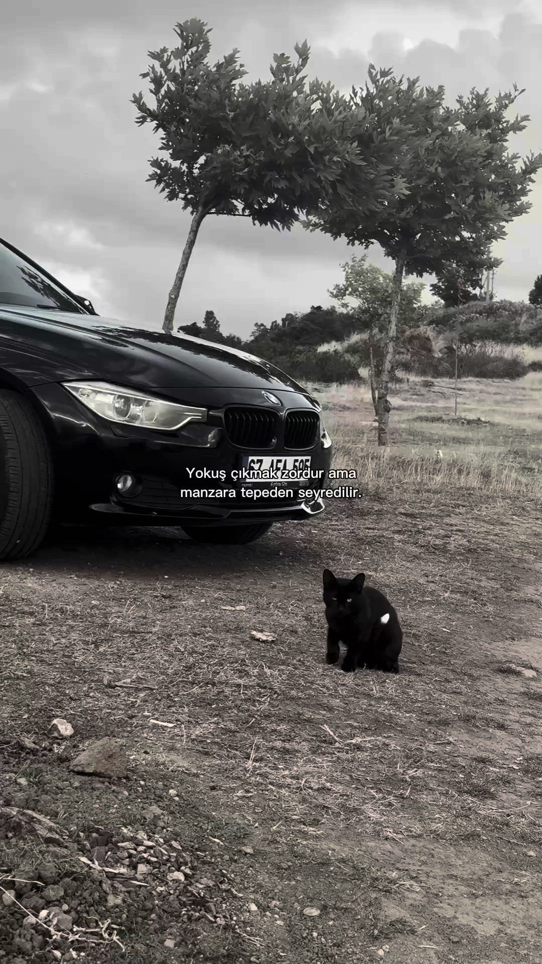 @Hüseyin korkmaz