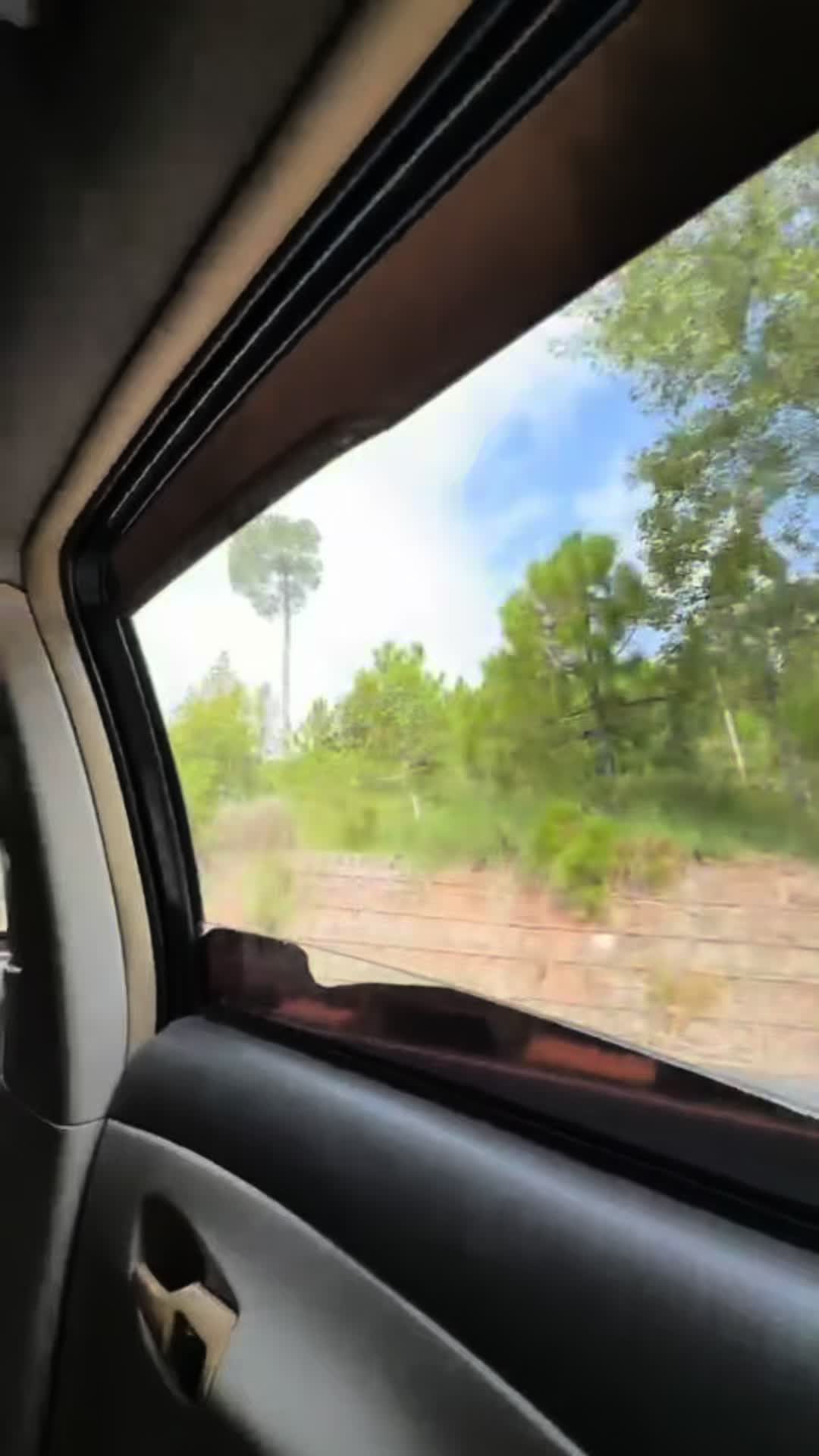 @maryammalik__1