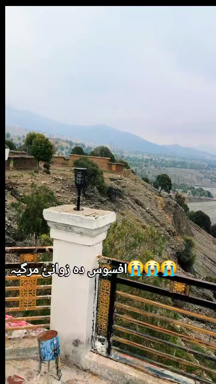 @🍂پشتون وڑکایئ 🍂