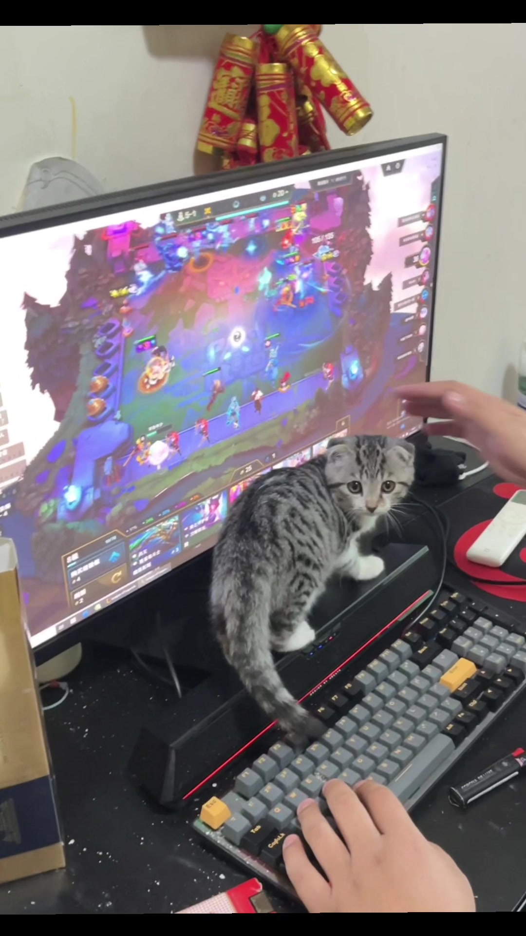 @淘气鬼
