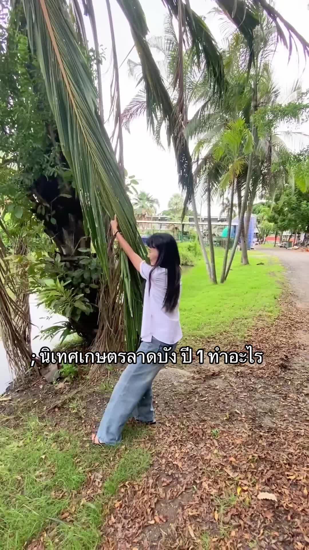 @15_chohuay