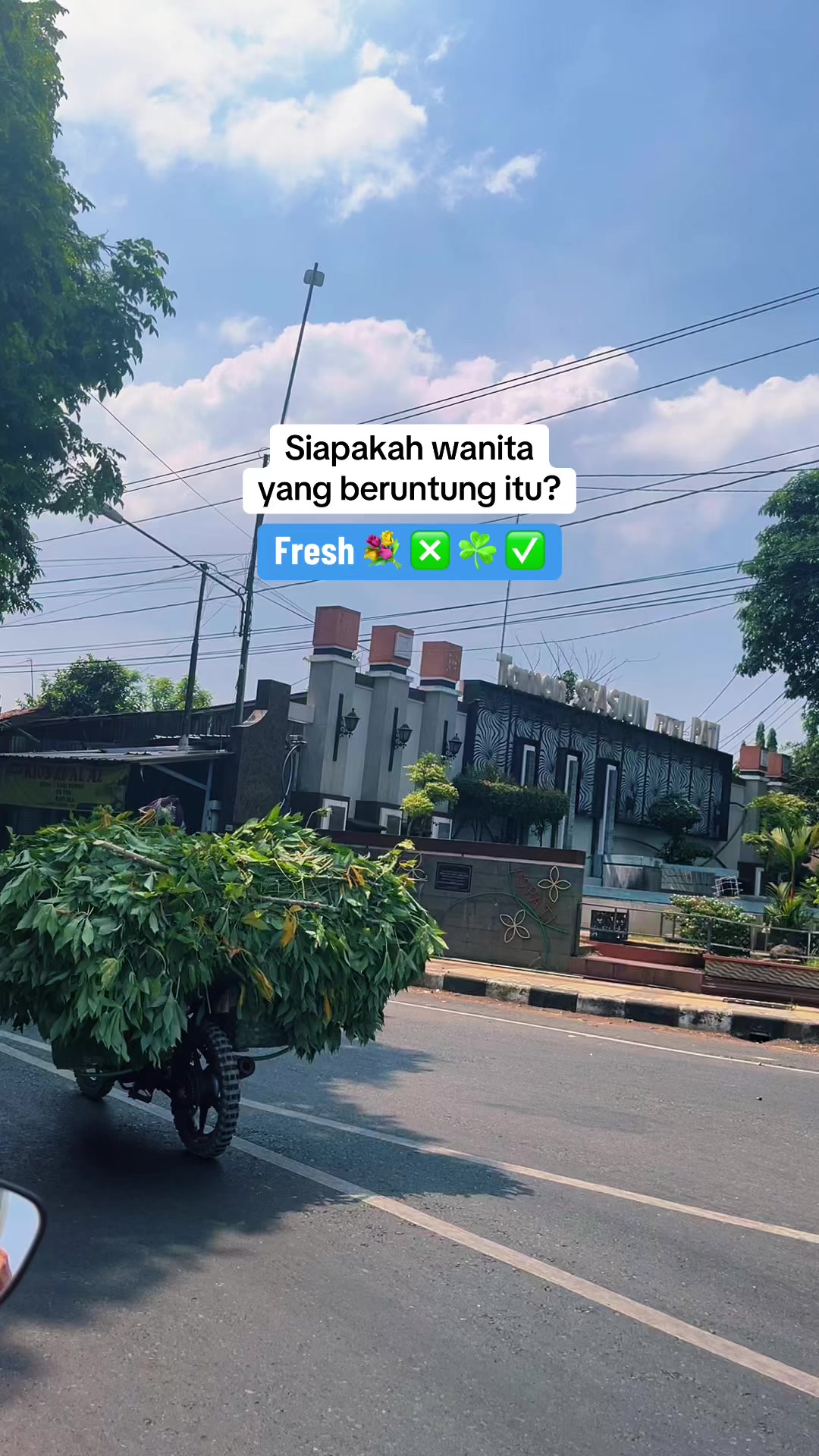 @YoriNaff ✨