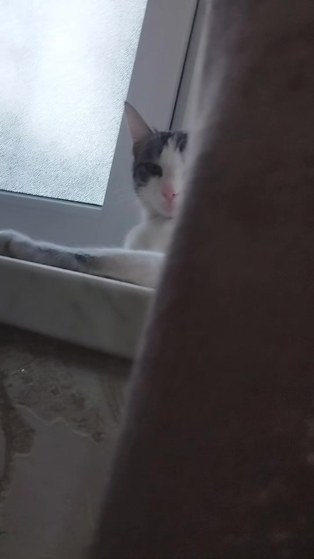 @miniş