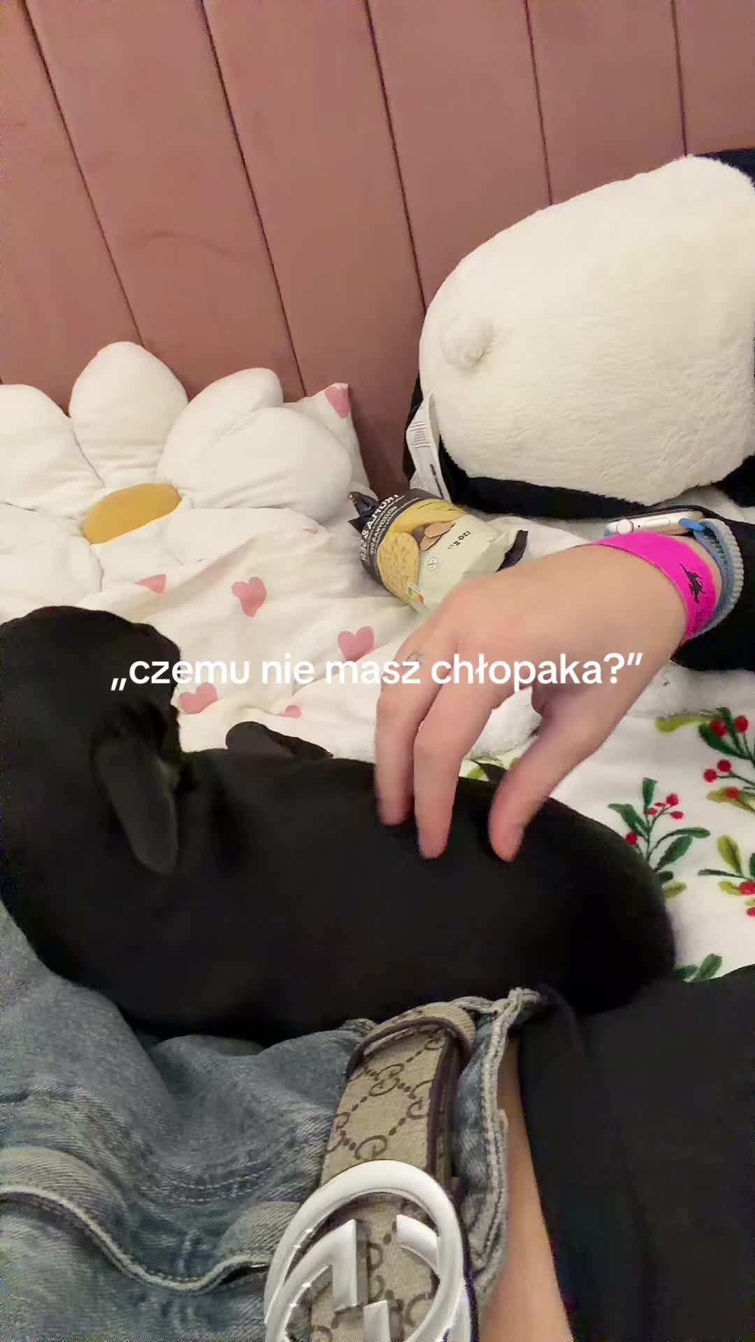 @zula