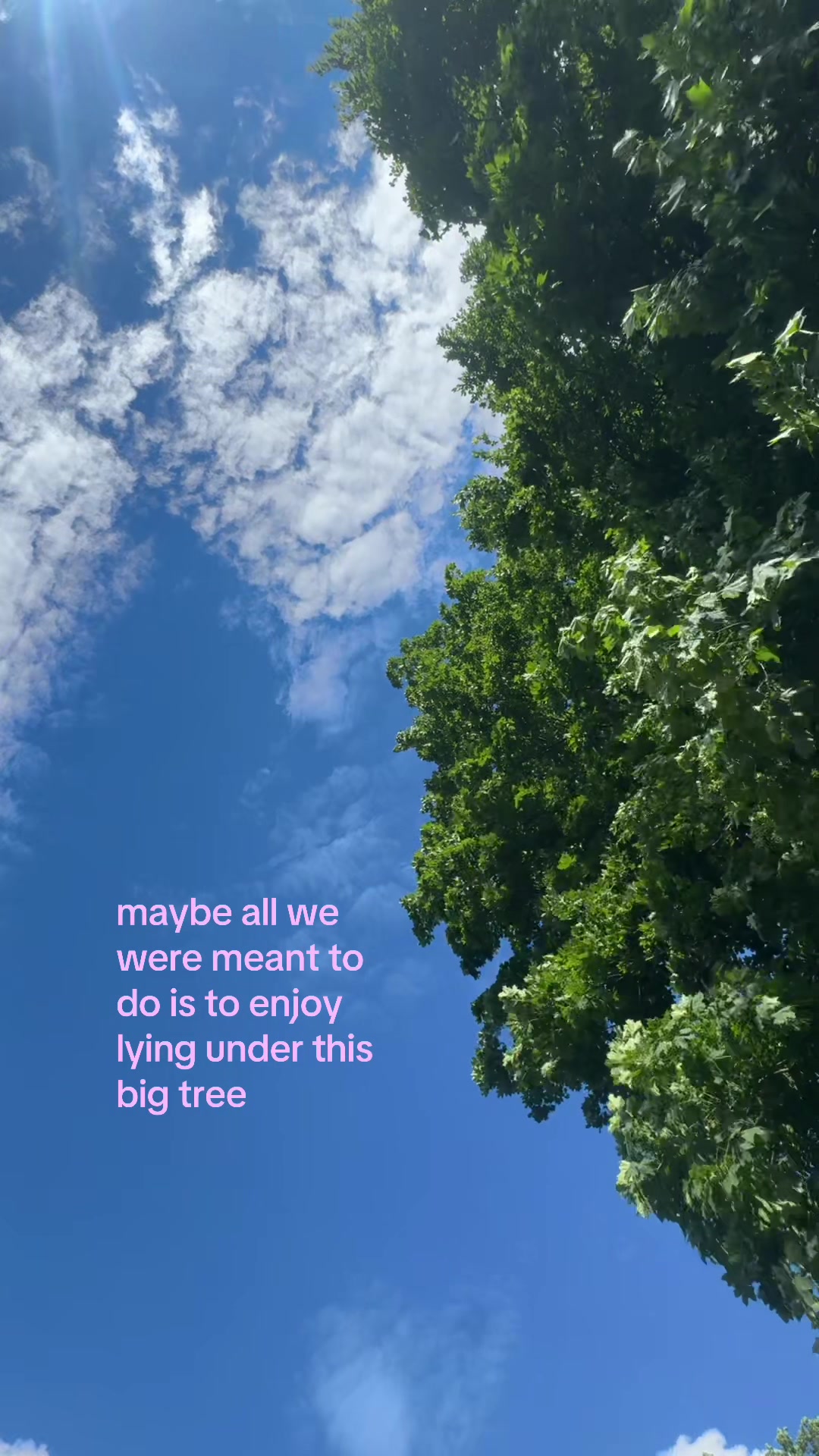 @alive in person