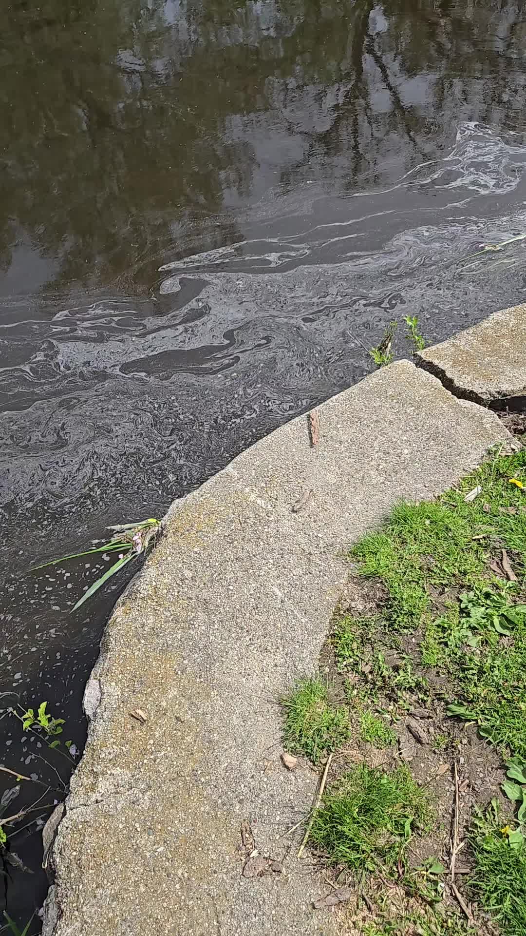 @⚒️KentKnapp-ArtistBlacksmith⚒️