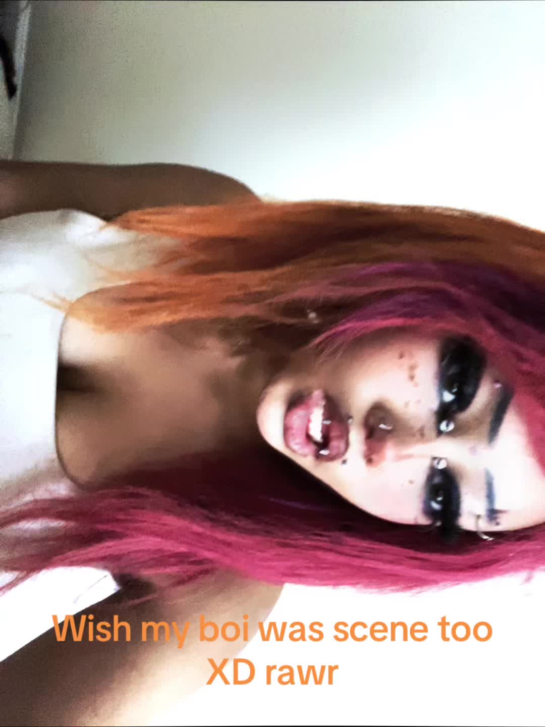 @๐๐ถ๐๐ฉท