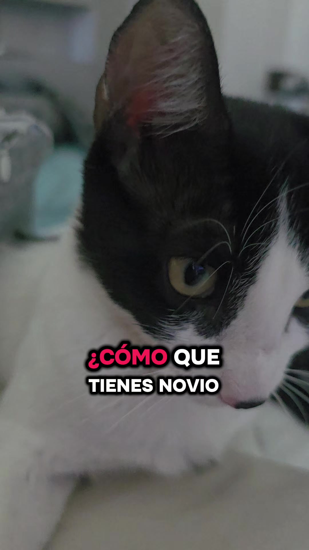 @María Chavana