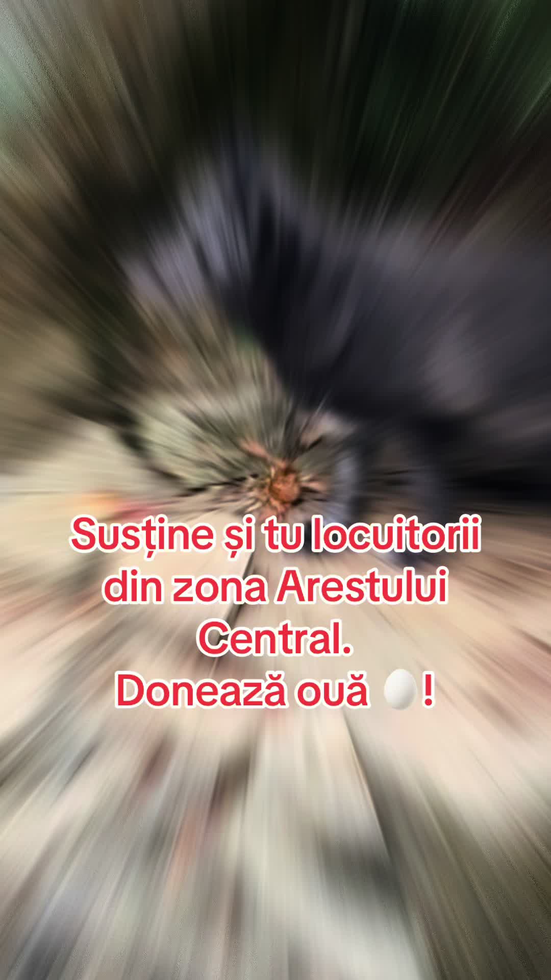 @Sebastian din Ardeal™