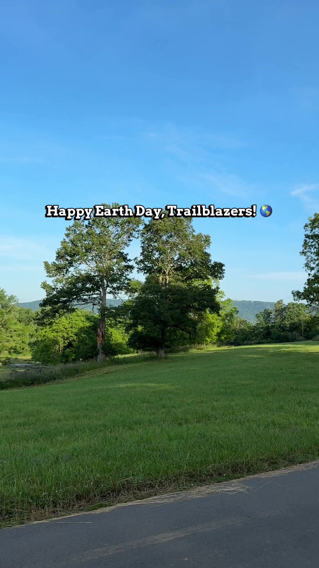 @Wild Trails Festival