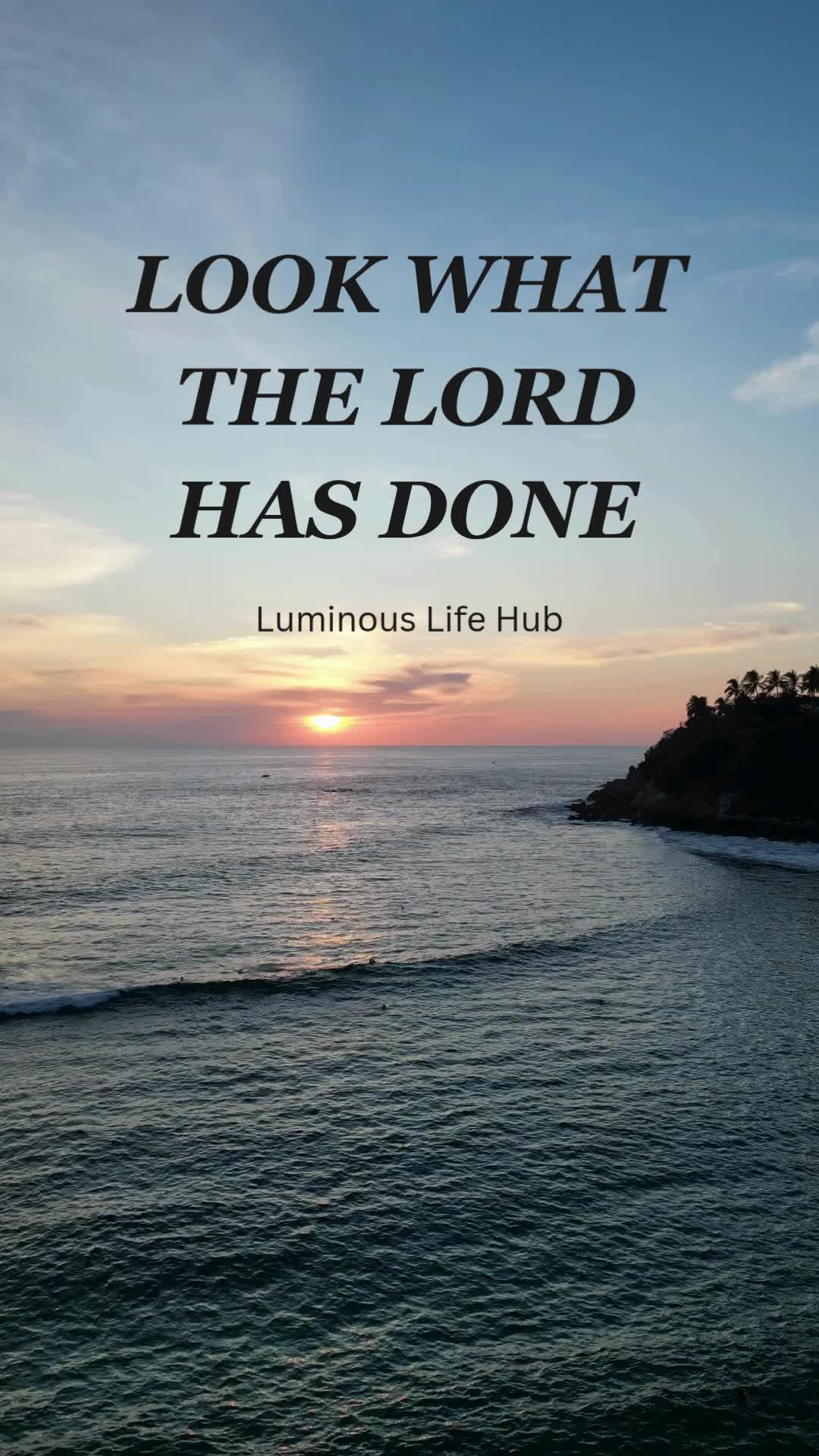 @Luminous Life Hub