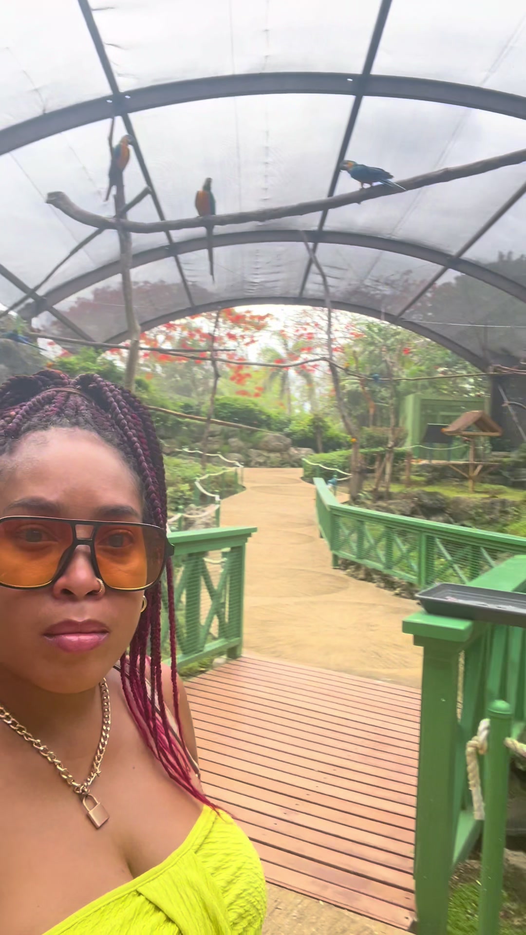 @Cranberry| Content Creator🇩🇲