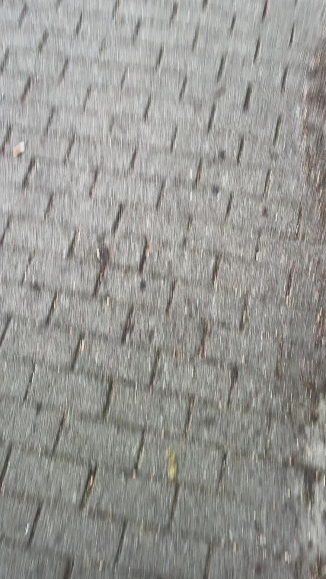 @pboyemil