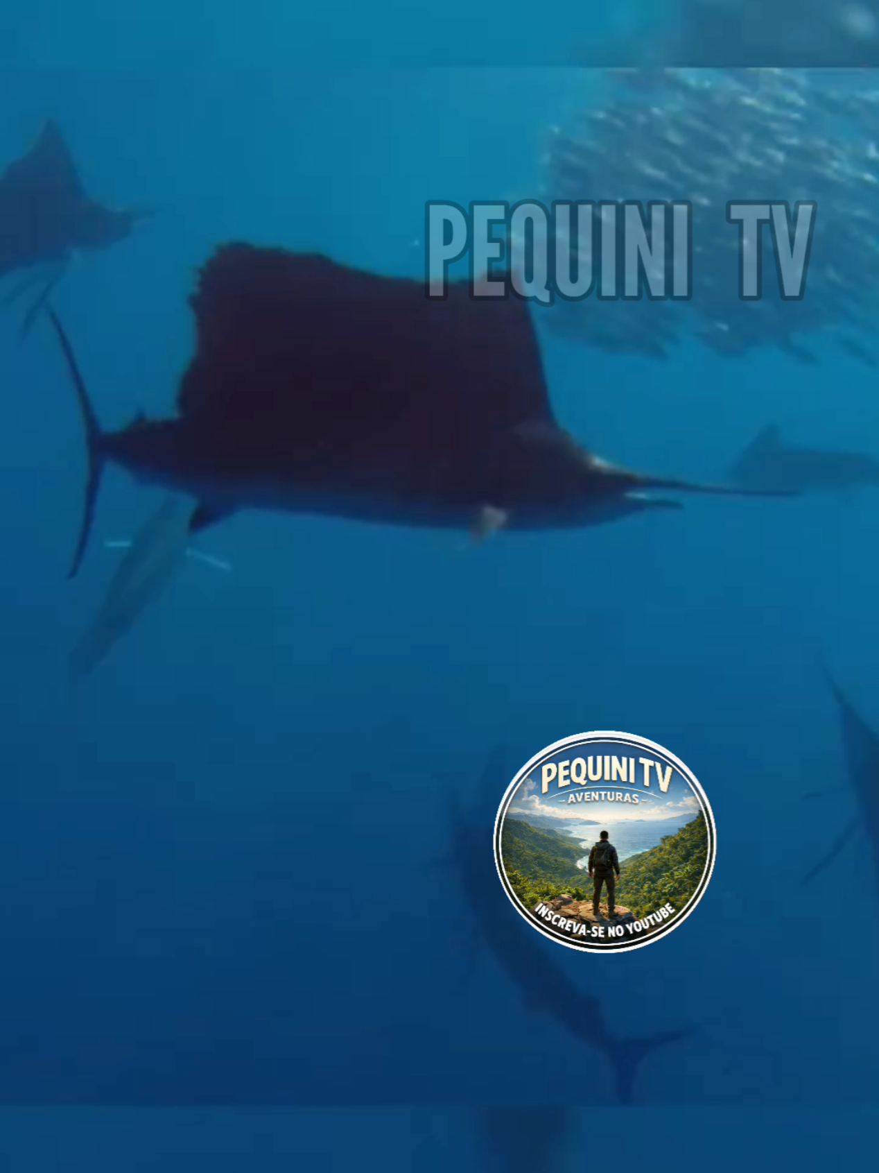 @PEQUINI TV