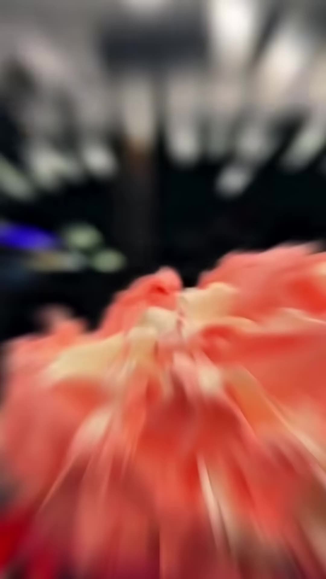 @user78782936093286