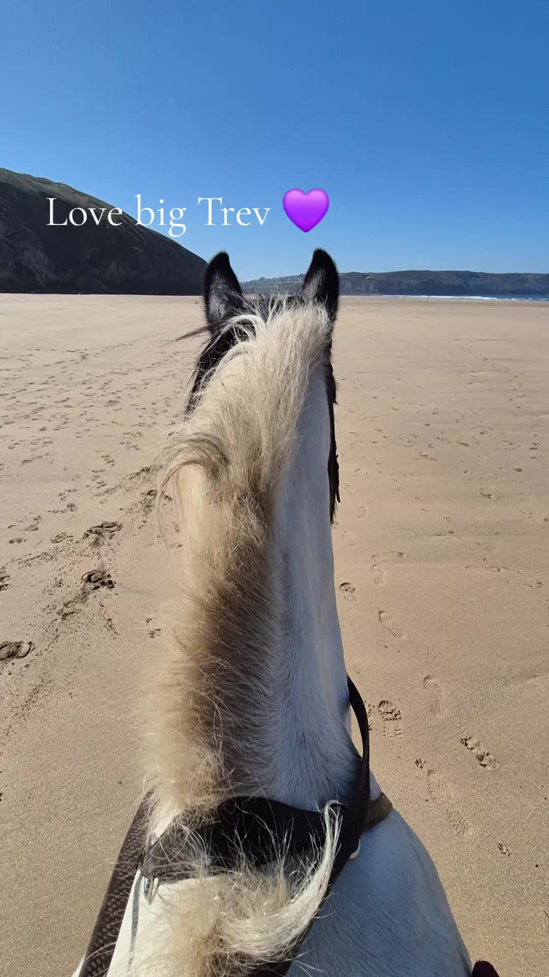 @Sinead 🐴 🖤💜🏍