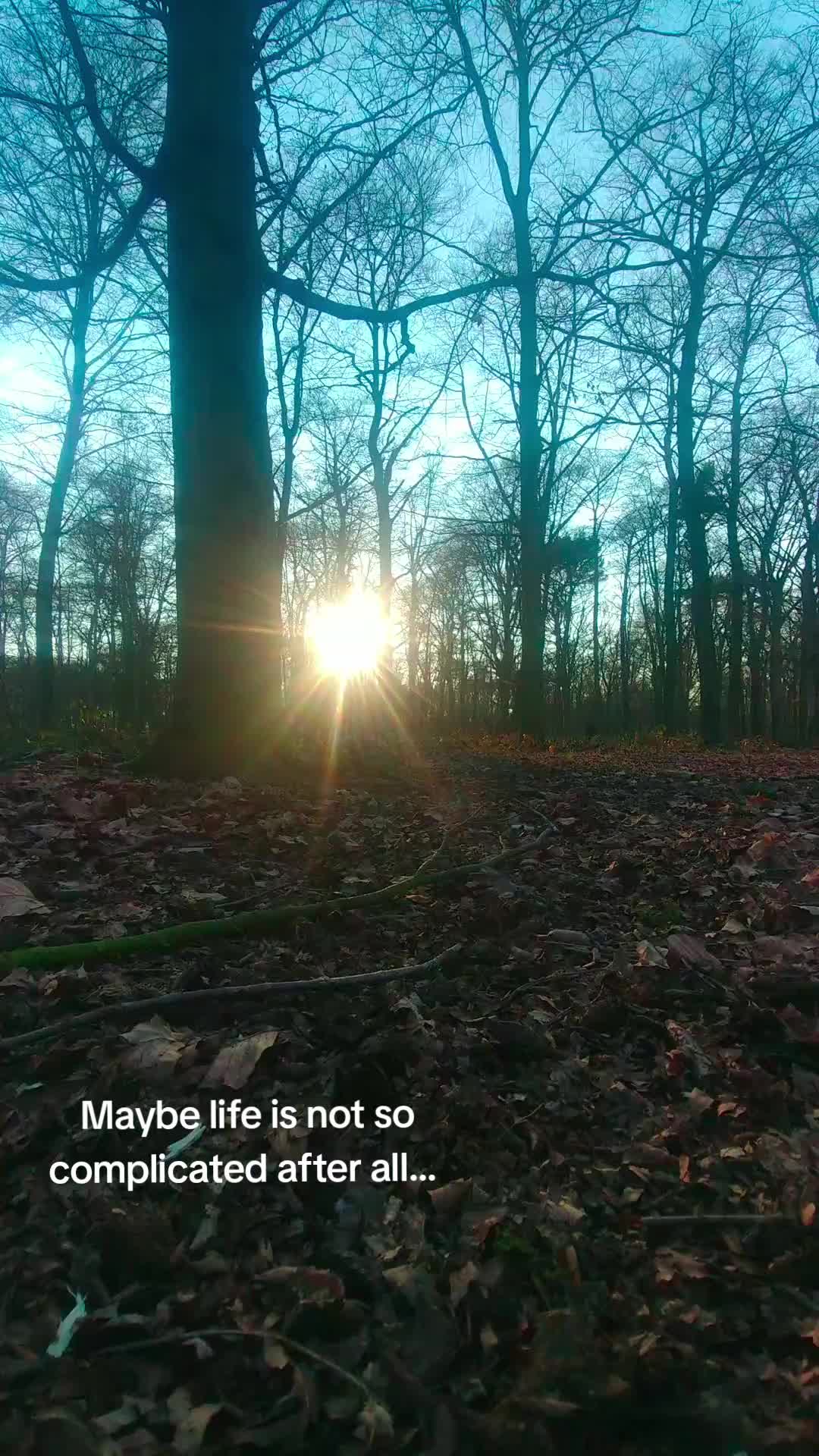 @Spring
