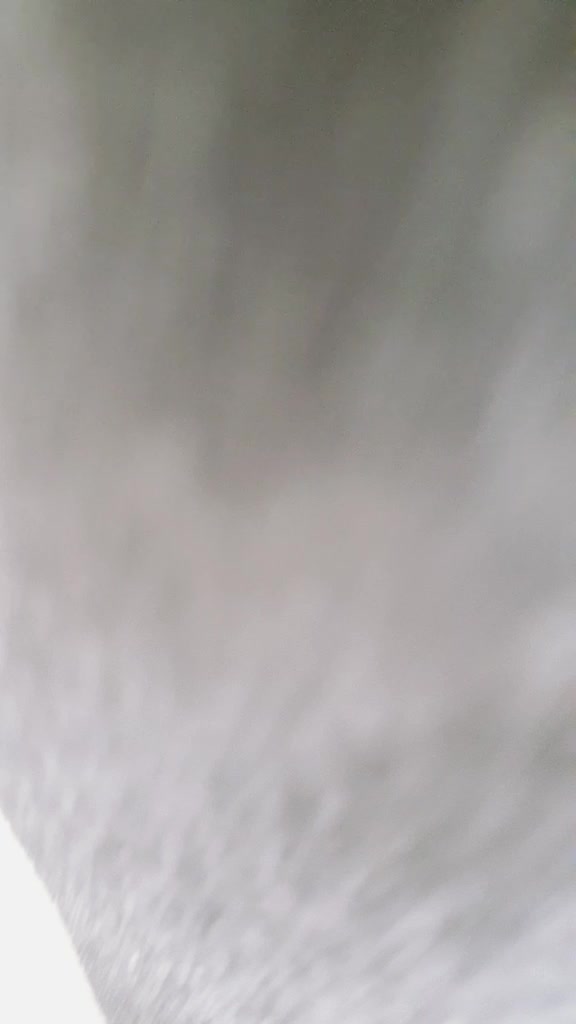@Rohanroy9538