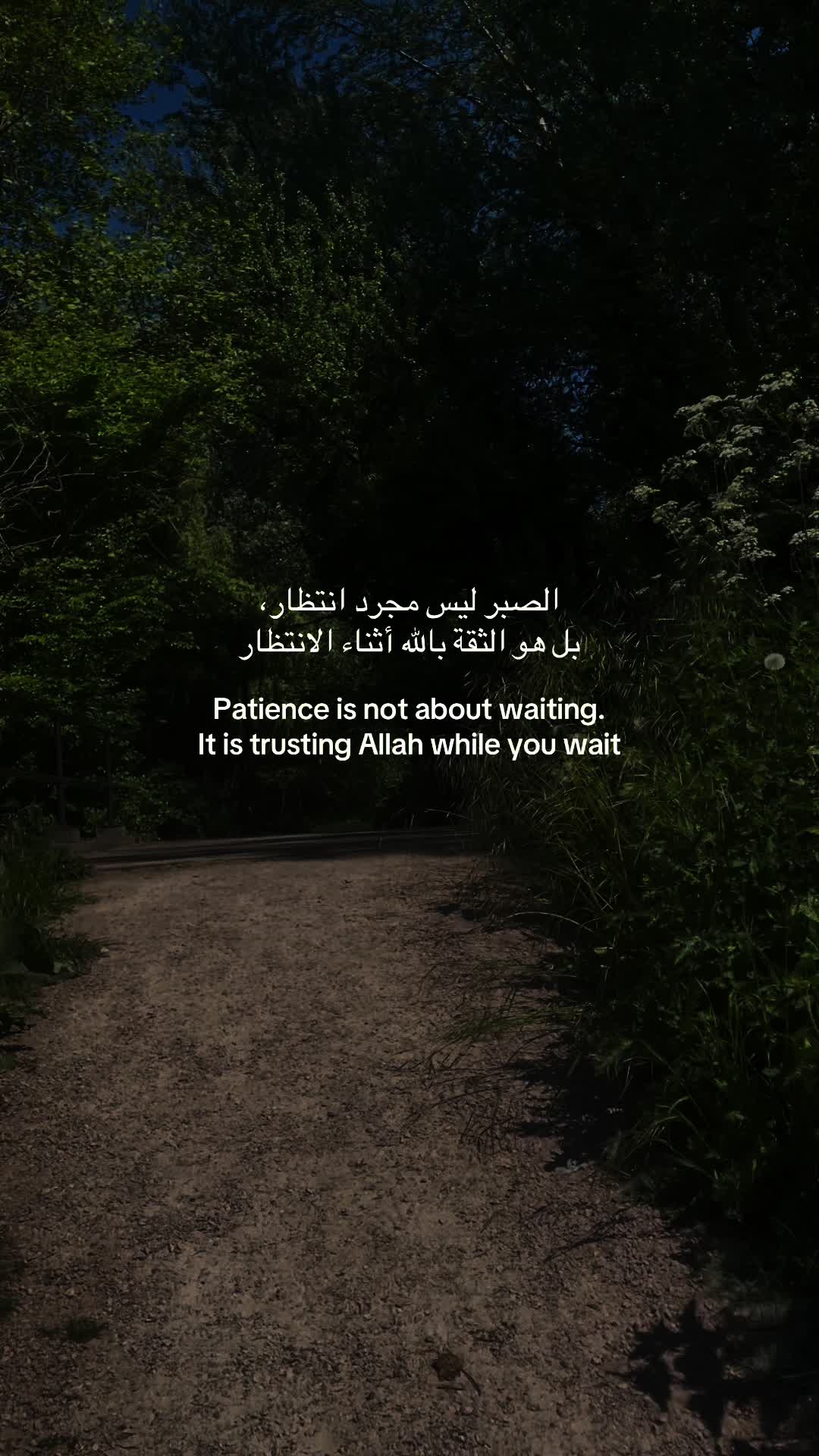 @Hamzah