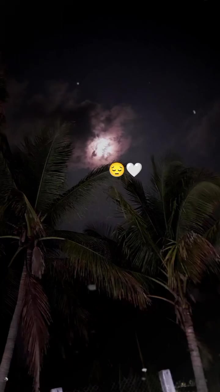 @solsolis1🌻🖤