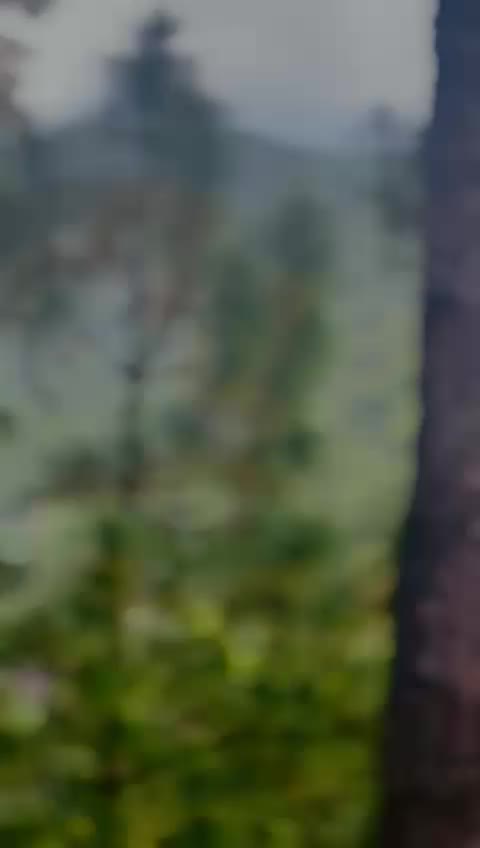 @Ghayas shah