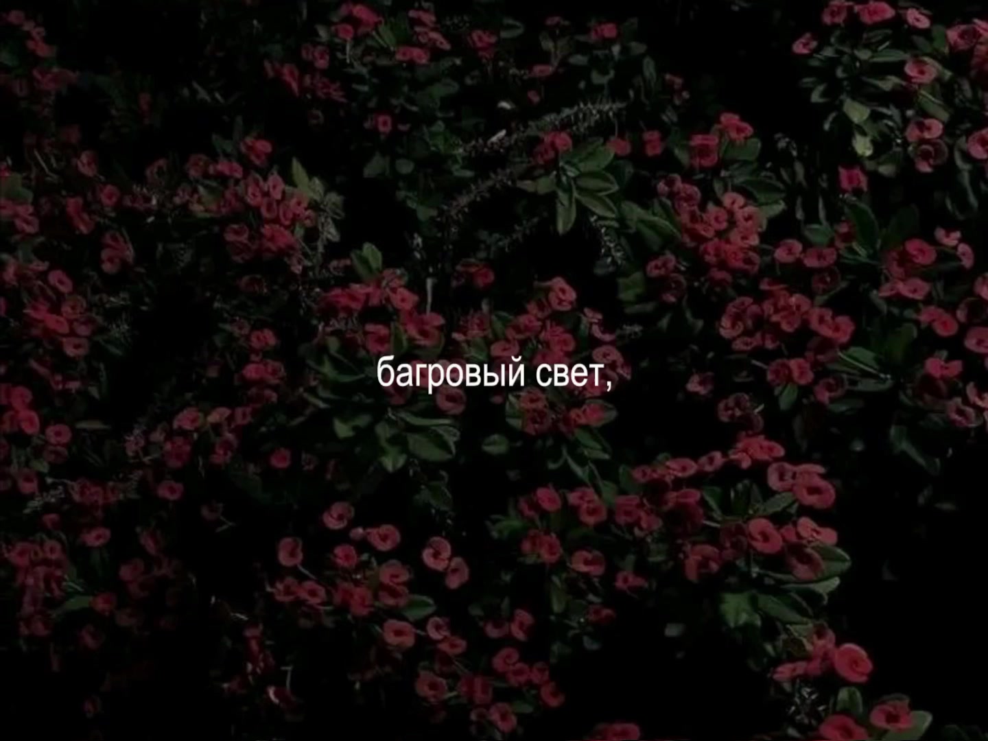 @музыка для липсингов