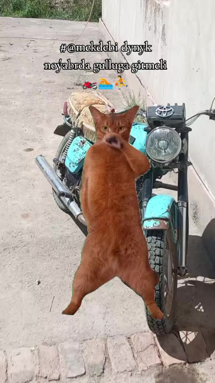 @🇹🇲🇹🇲