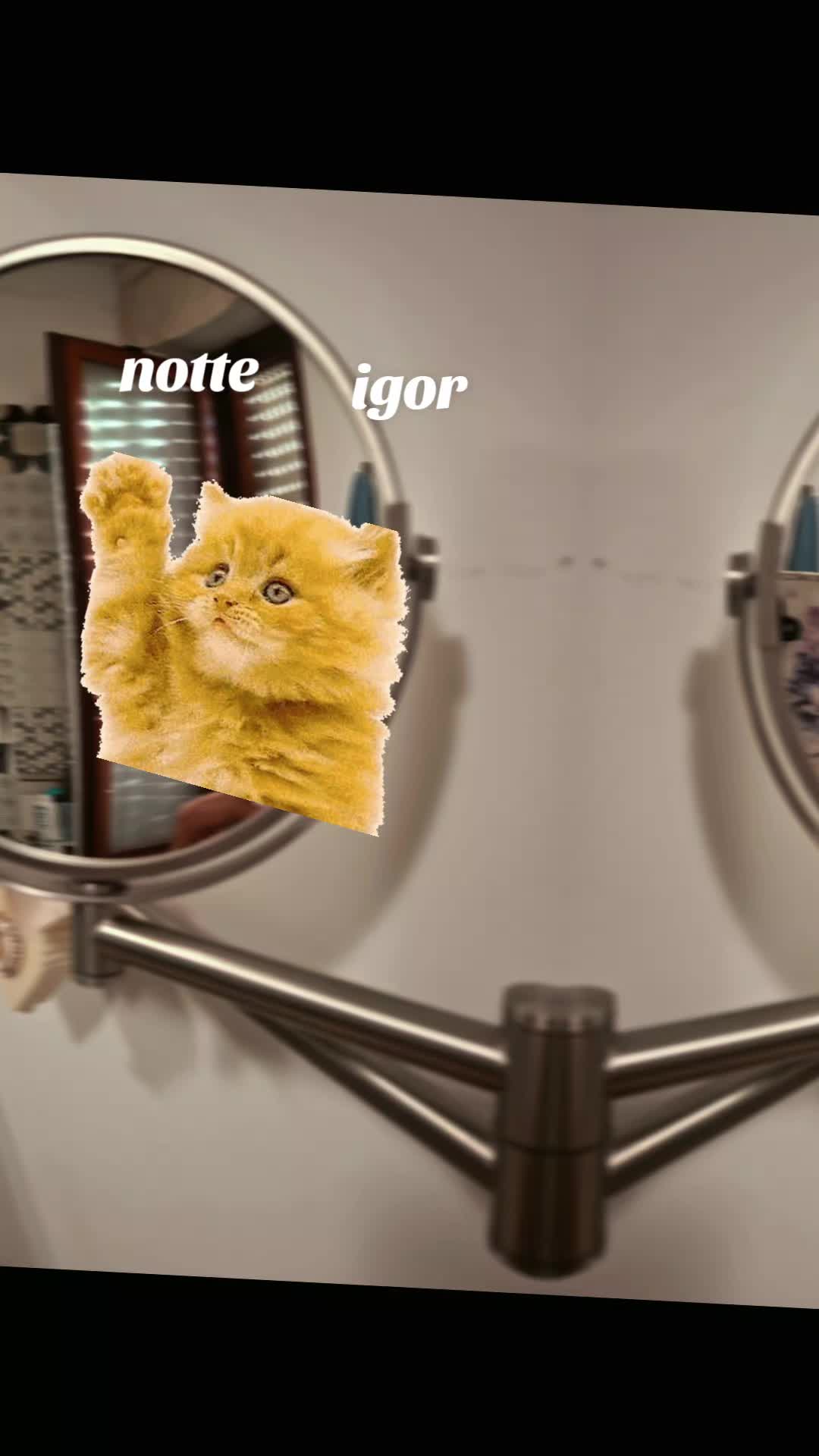 @profetti