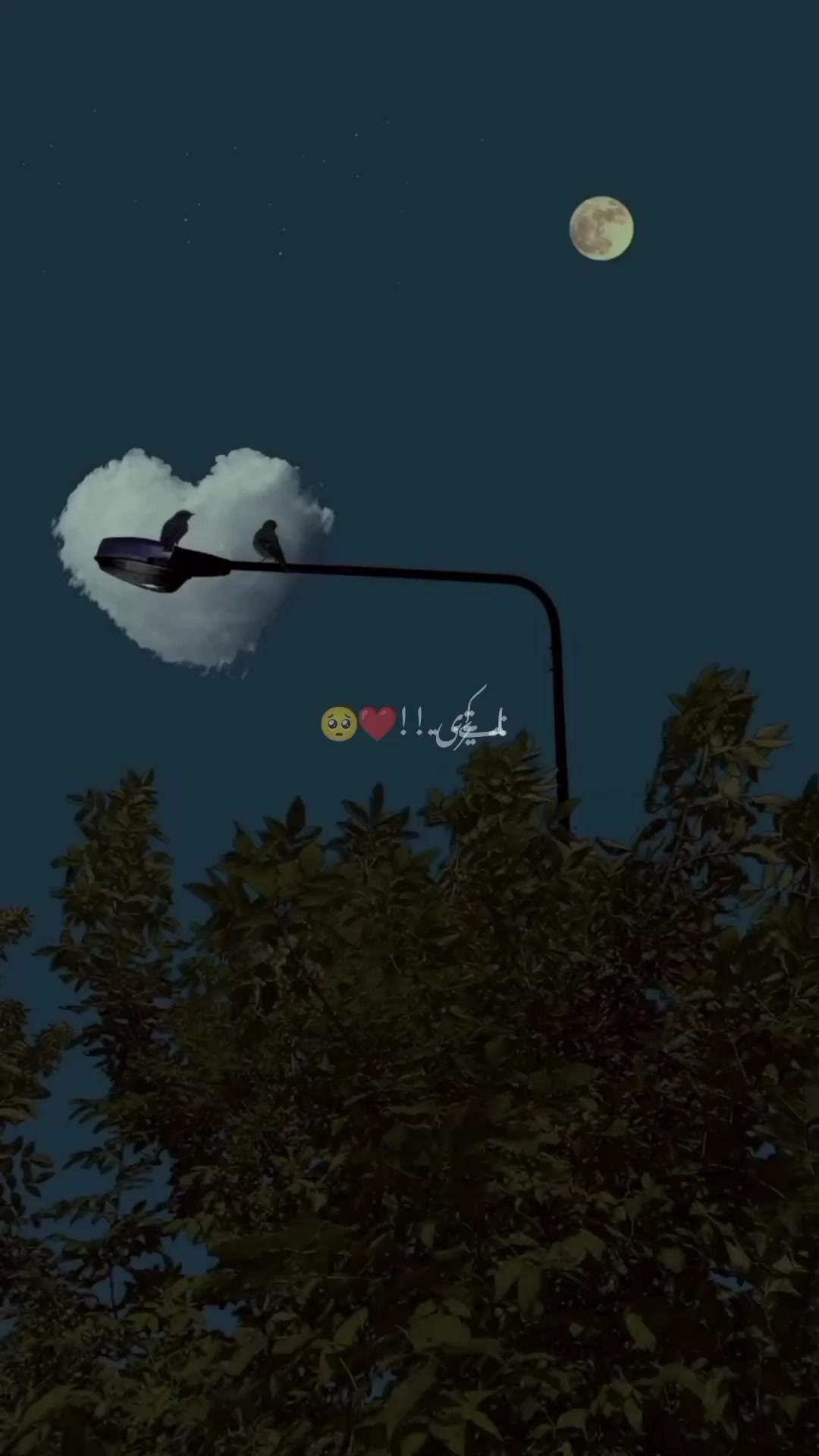 @𝙐𝙙𝙖𝙨𝙨 𝙭 𝘼𝙚𝙨𝙩𝙞𝙭