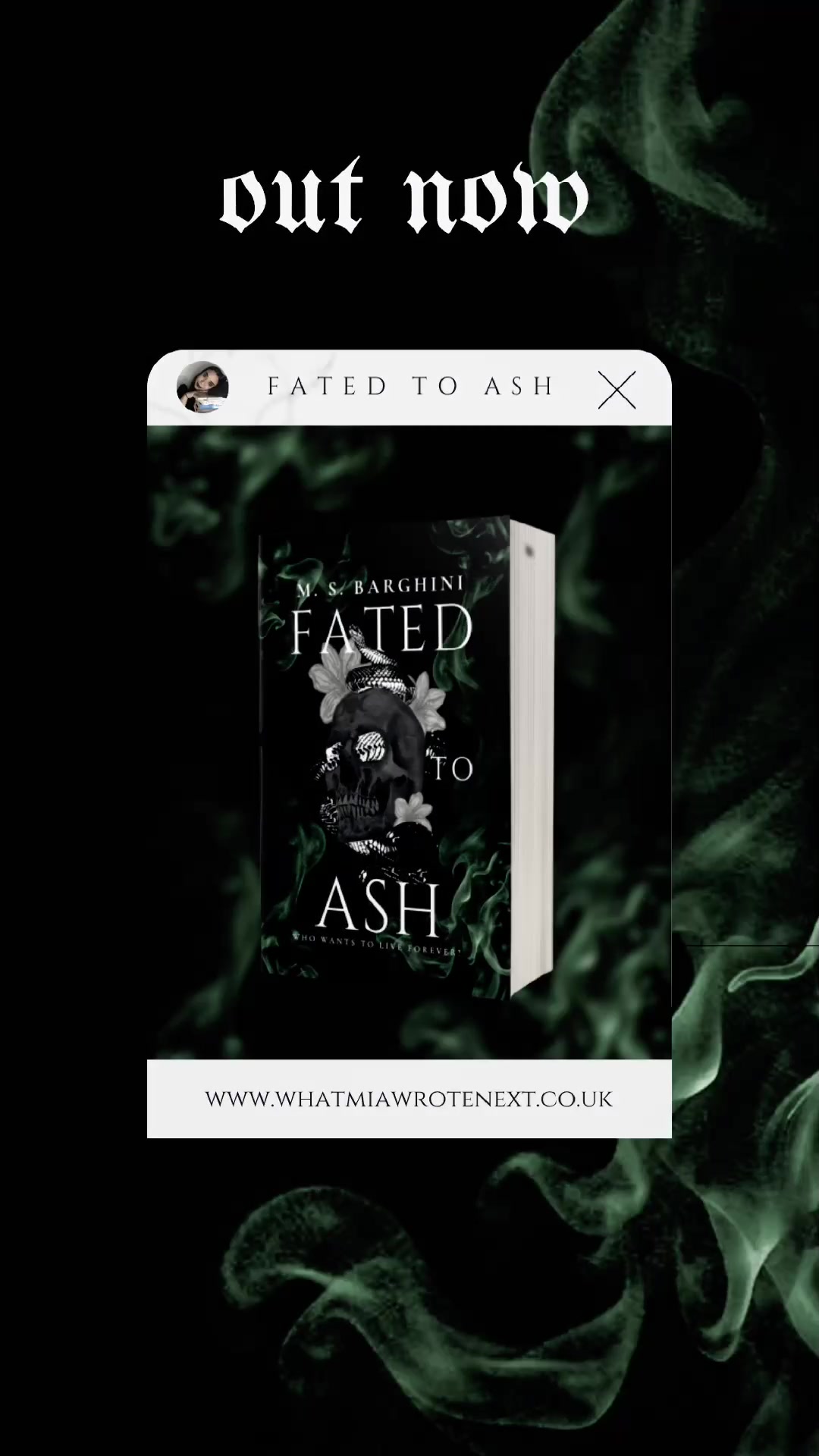 @MS Barghini | Author