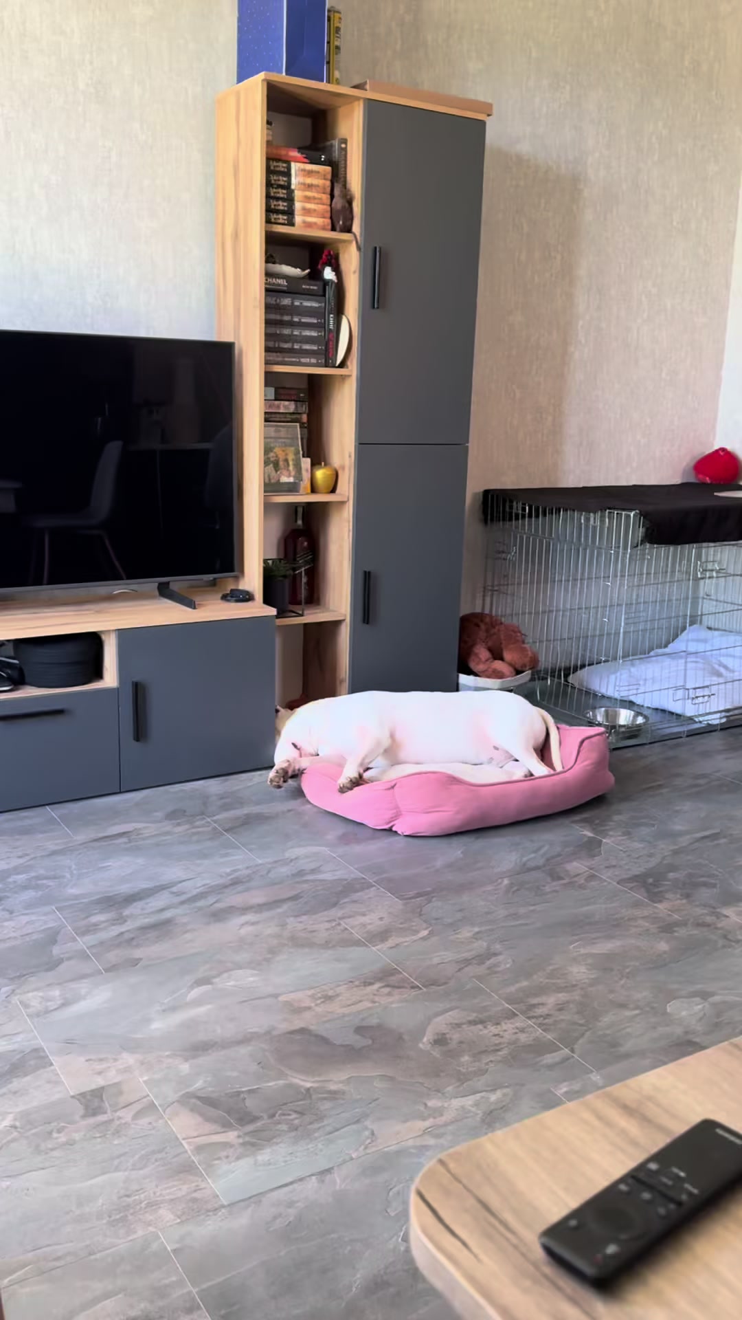 @Данте