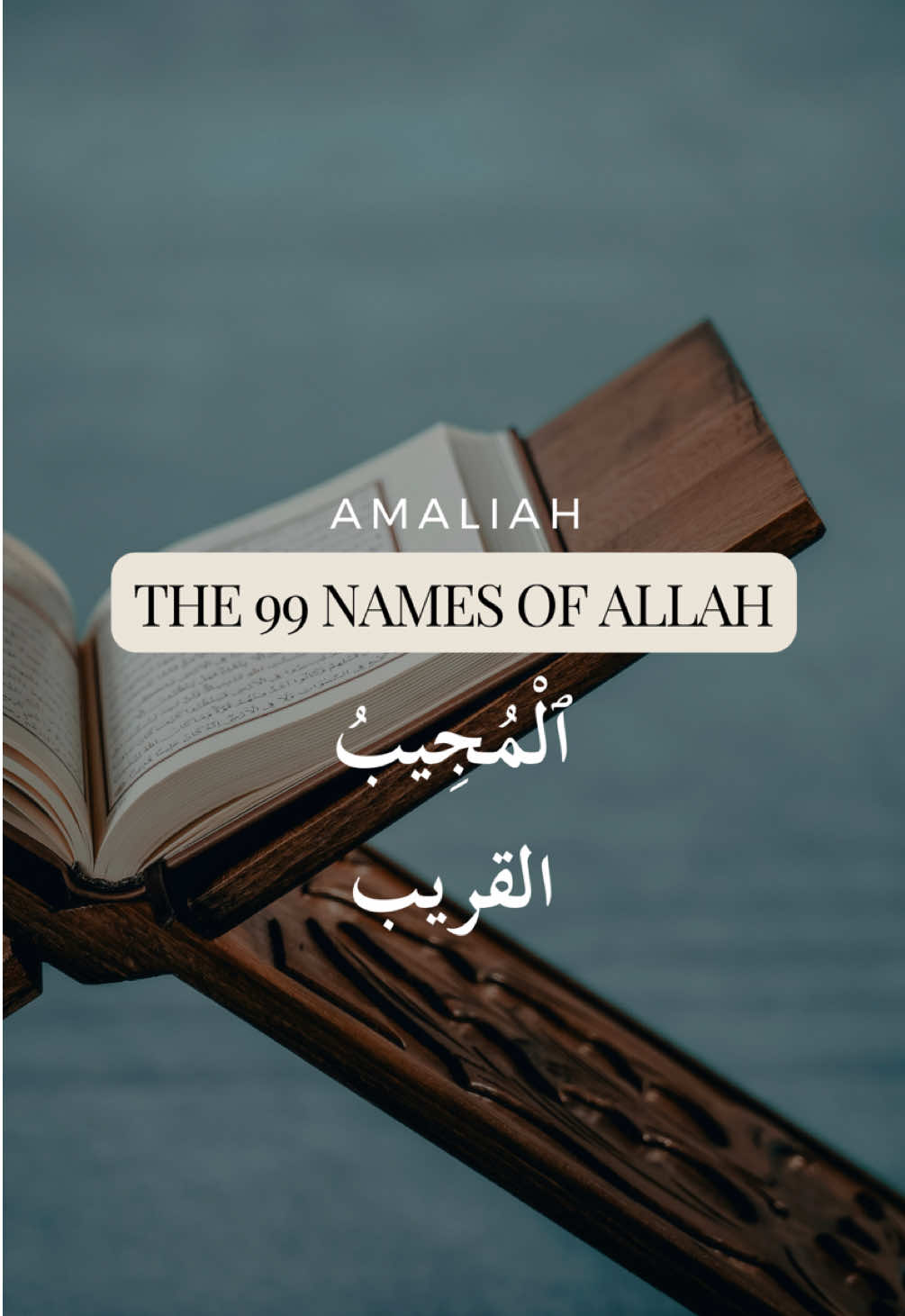 @Amaliah