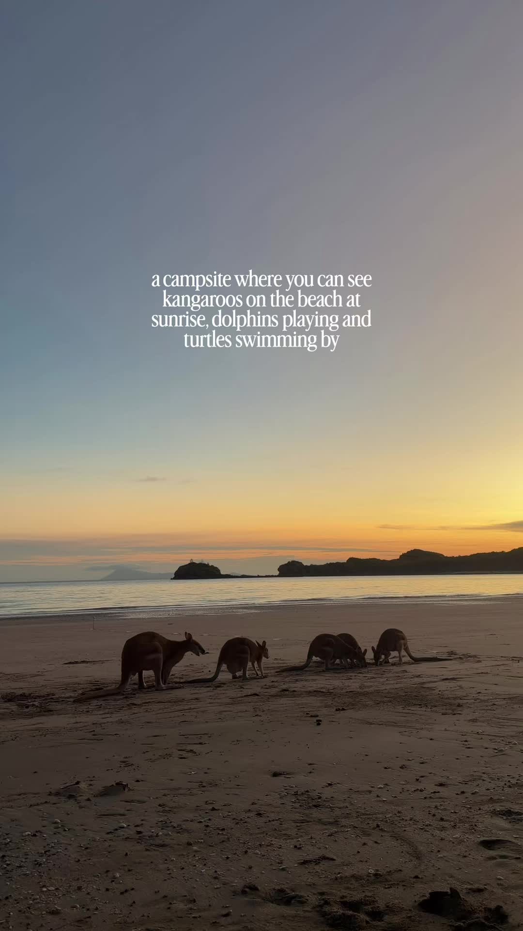 @Eleanor 𖦹 travel in australia