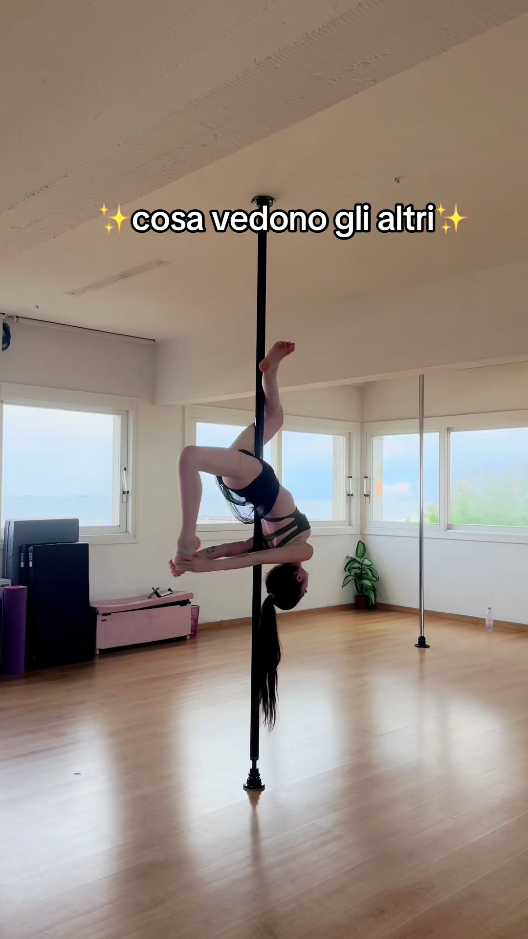 @Syria costantini